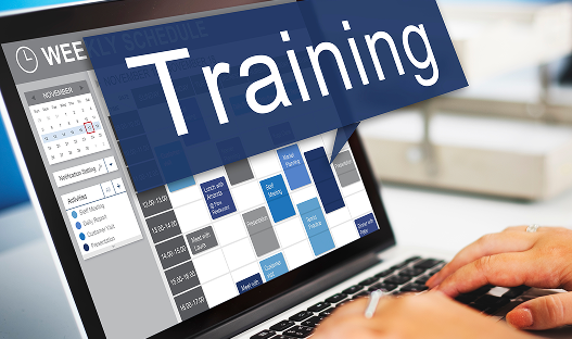 Launch & User Training 