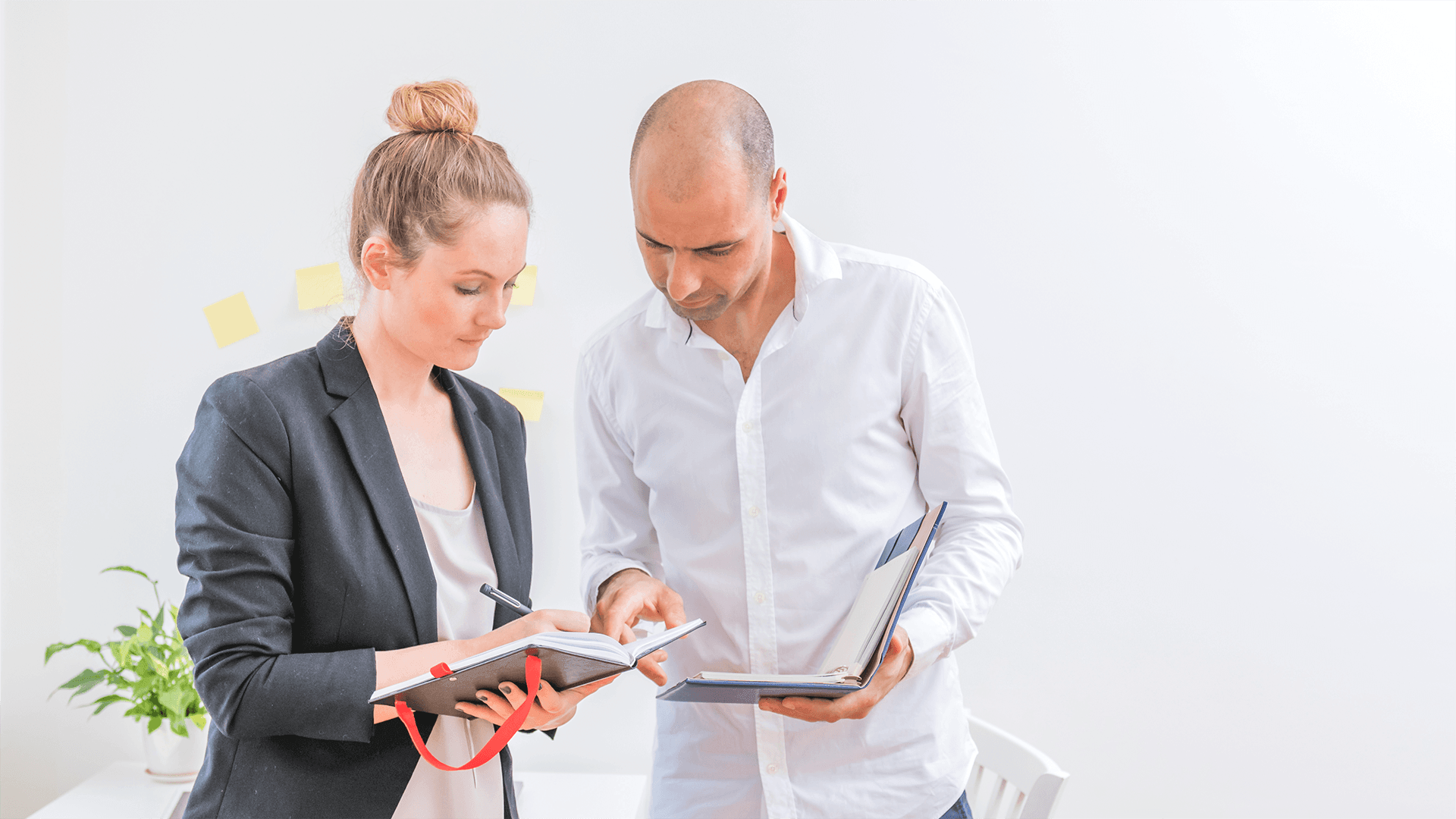 Sales Representatives