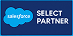 Salesforce Select Partner