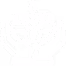 Non-Profit Organisations