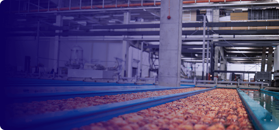 Centralized Operations Accelerating Business Growth